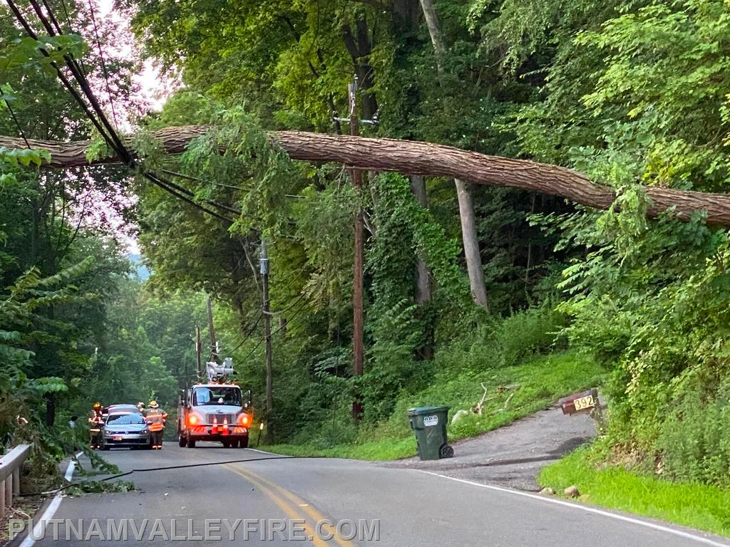7/19 PHR wire/tree down