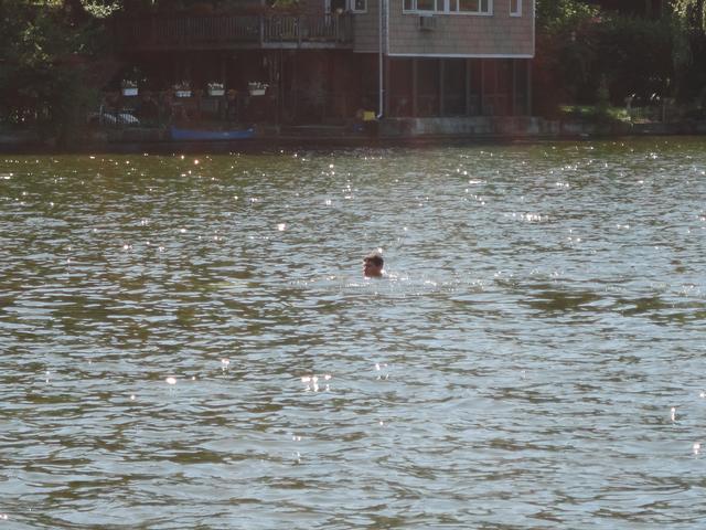 Water Rescue Drill with Ambulance Corps