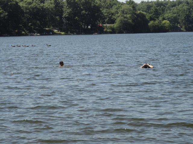 Water Rescue Drill with Ambulance Corps