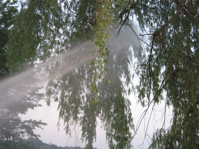 The water on its way back