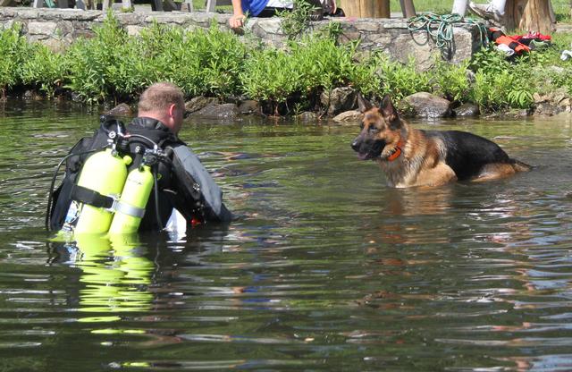 Dog Water Rescue Drill 8/12/12