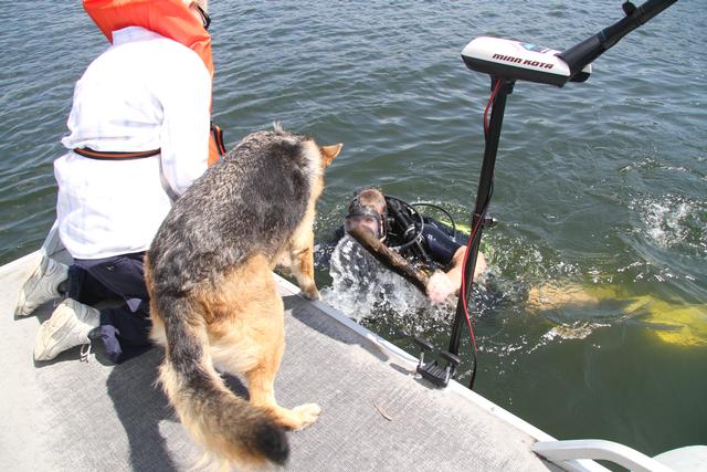 Dog Water Rescue Drill 8/12/12